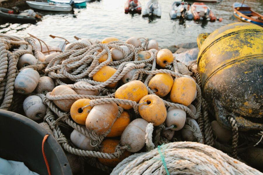 Types of Fishing Gear: A Professional Guide to Responsible Industrial Fishing